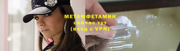 прущие грибы Новозыбков
