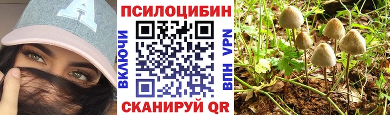 Галлюциногенные грибы Psilocybine cubensis  Печоры 