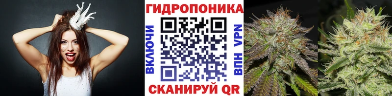 Канабис план  Печоры 
